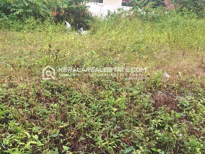 Land for Sale in Chenkottukonam, Trivandrum
