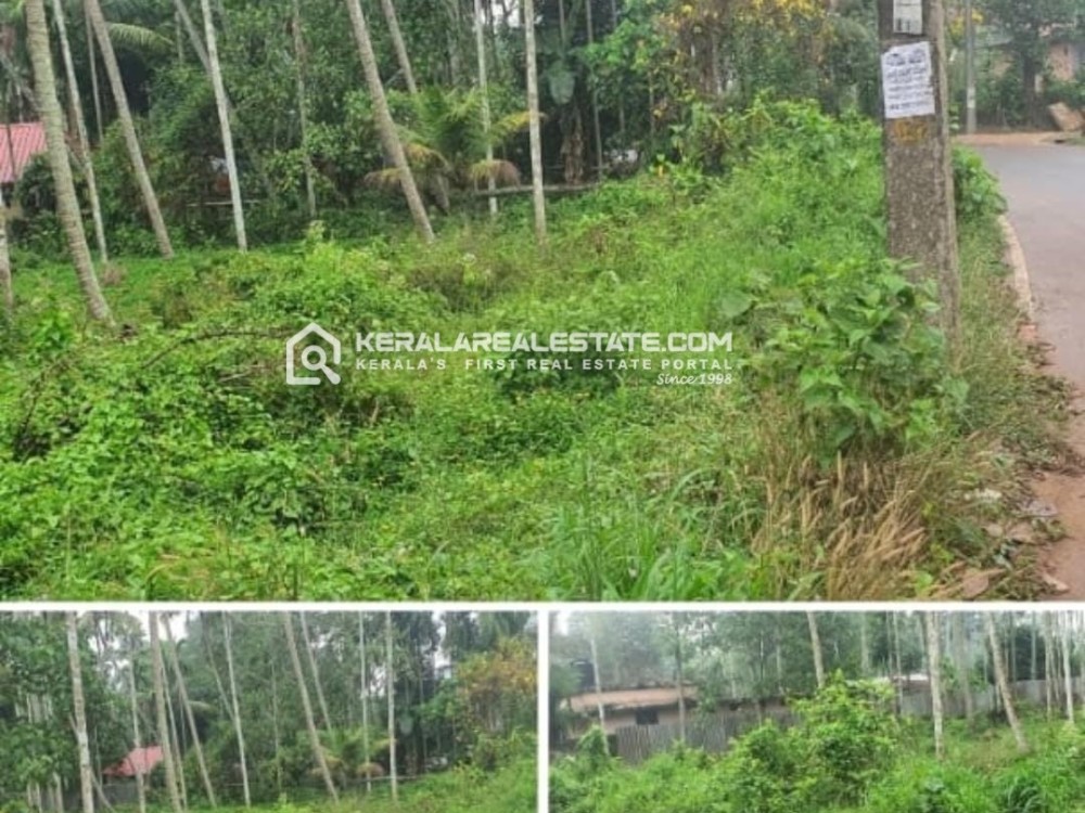 Land for Sale in Pulikkamaly, Mulanthuruthy, Ernakulam