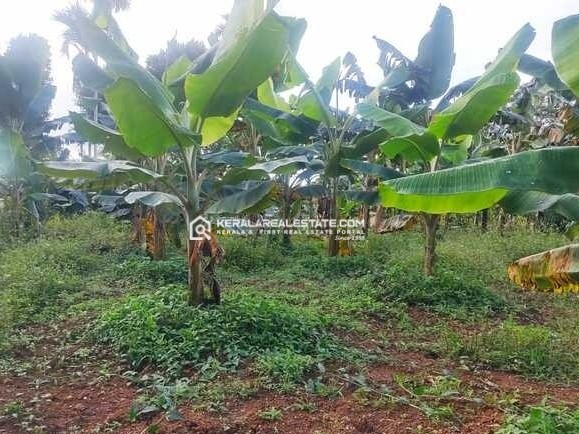 Plot for Sale in Karani, Wayanad