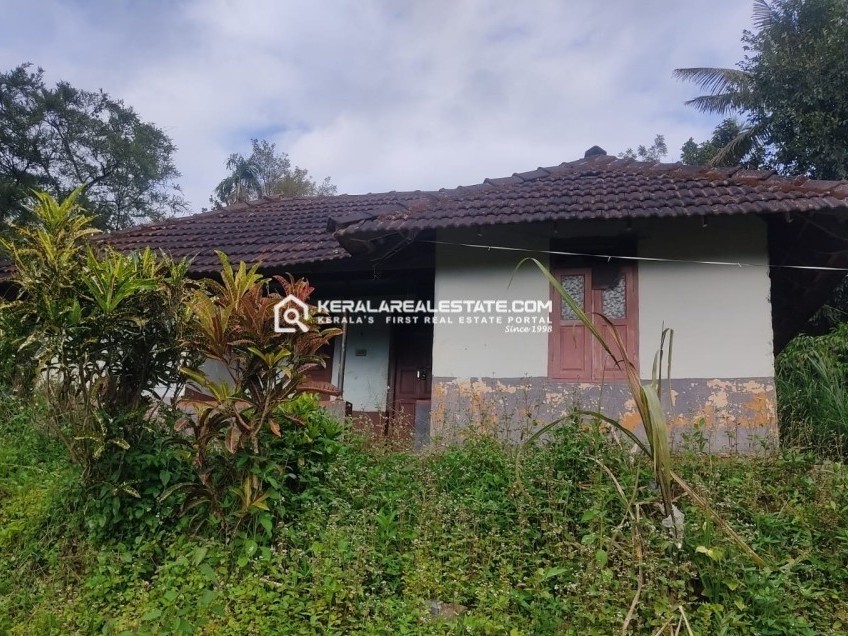 Scenic Land for Sale in Kariyambadi, Wayanad