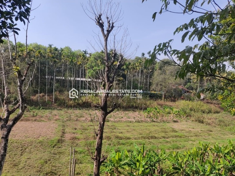 Land for Sale in Kenichira, Wayanad