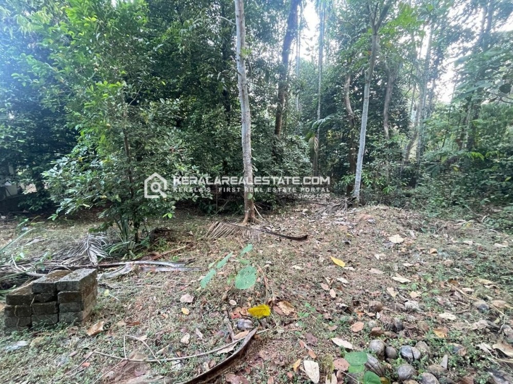 Prime Land for Sale in Kaninadu, Puthencruz, Ernakulam