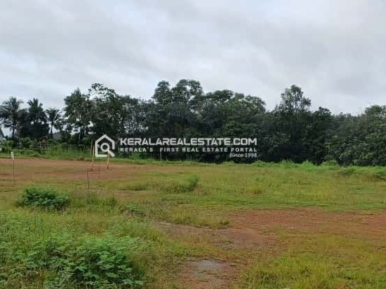 Prime Commercial Land for Sale in Koprakkalam, Near Pala- Ponkunnam Road, Kottayam