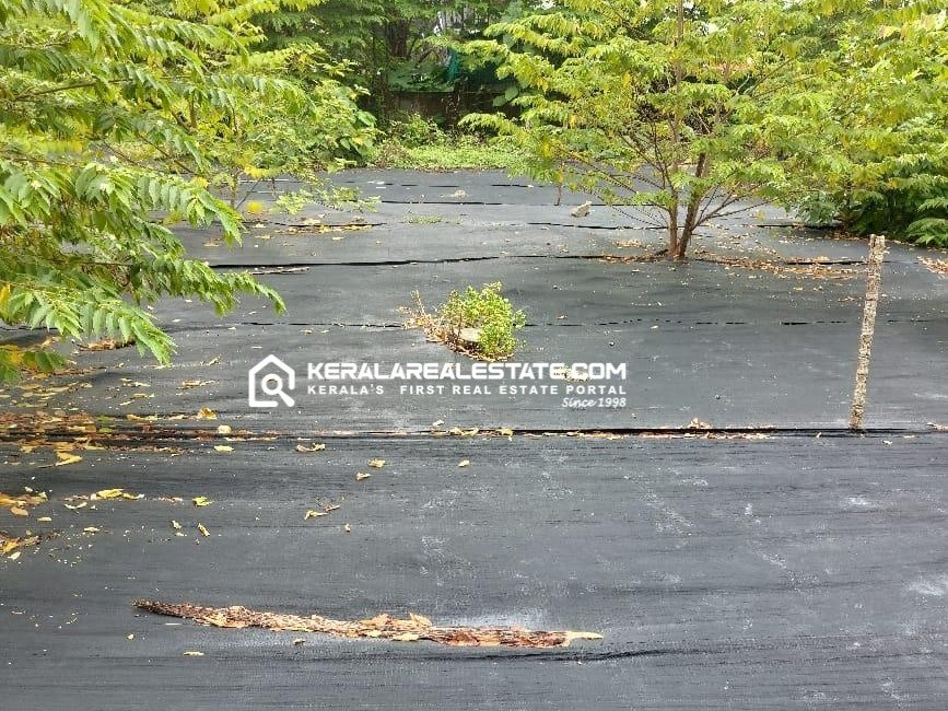 Prime Residential Land for Sale in Palarivattom, Ernakulam