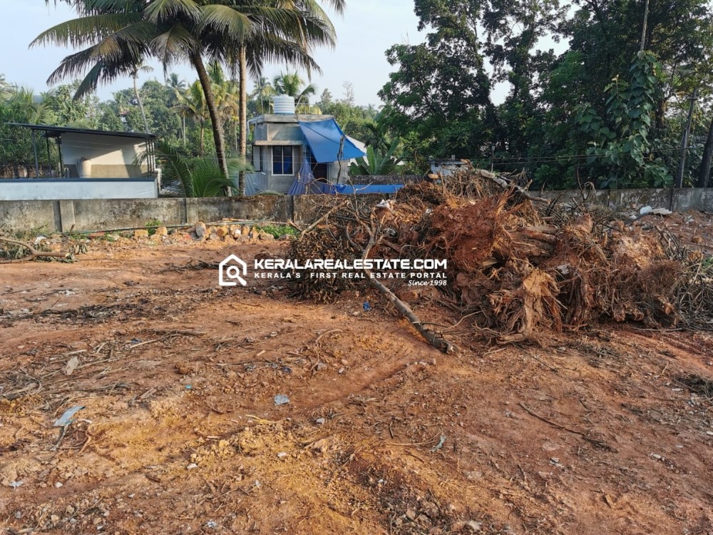 Prime Land for Sale in Padathikara, Near Infopark, Ernakulam