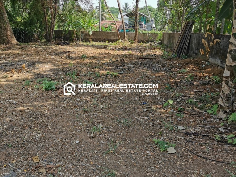 Land for Sale in Puthenangadi, Kottayam