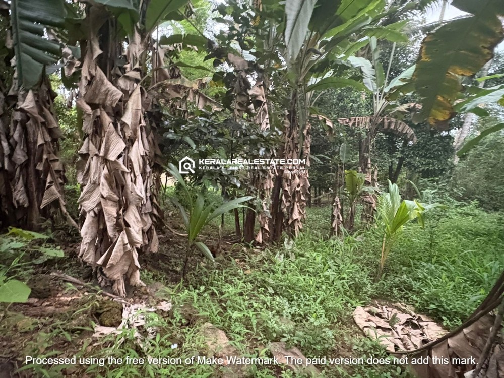 Residential Plots for Sale in Amballoor, Ernakulam