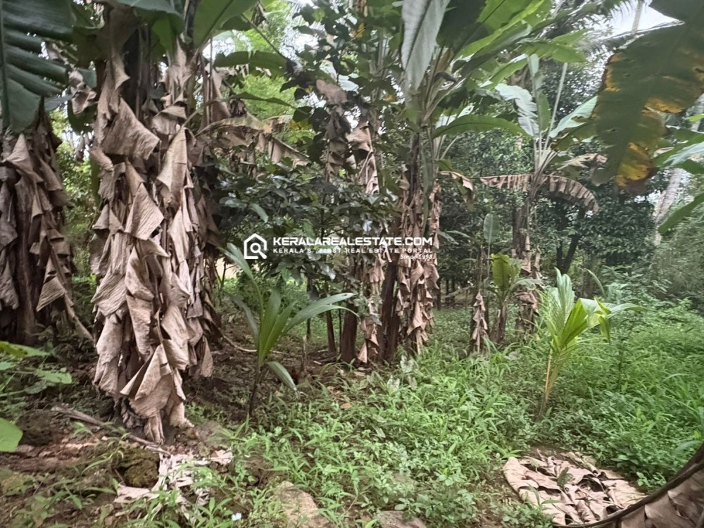 Land for Sale in Nagampadam, Kottayam