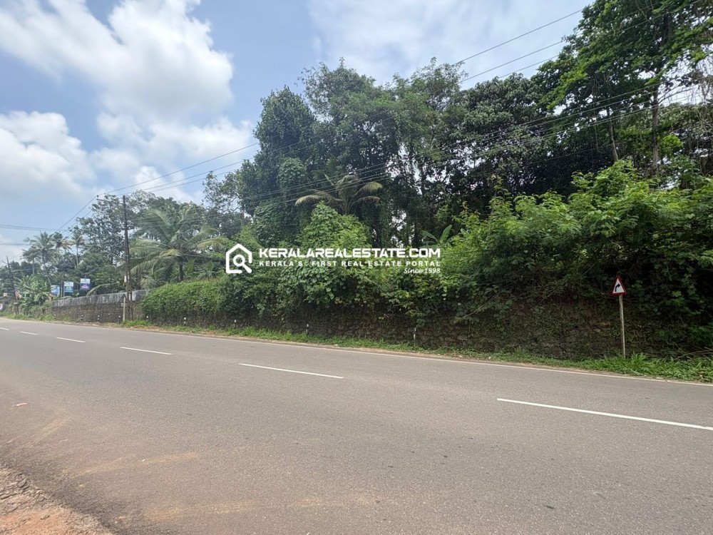 Commercial Land for Sale in Manganam, Kottayam