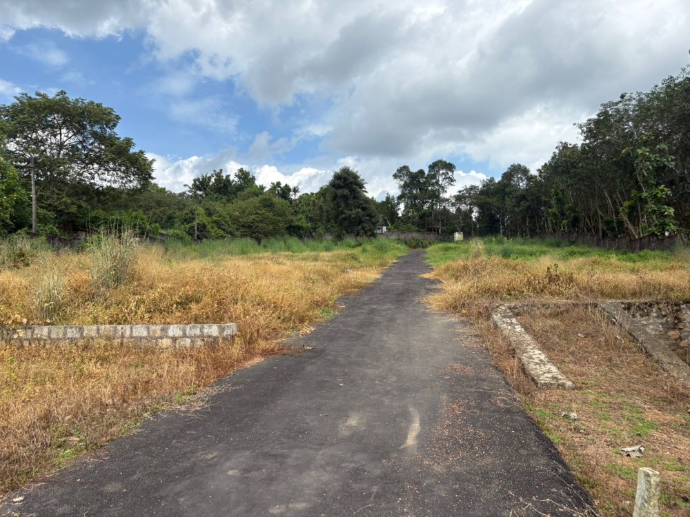 Land for Sale in Thiruvanchoor, Kottayam