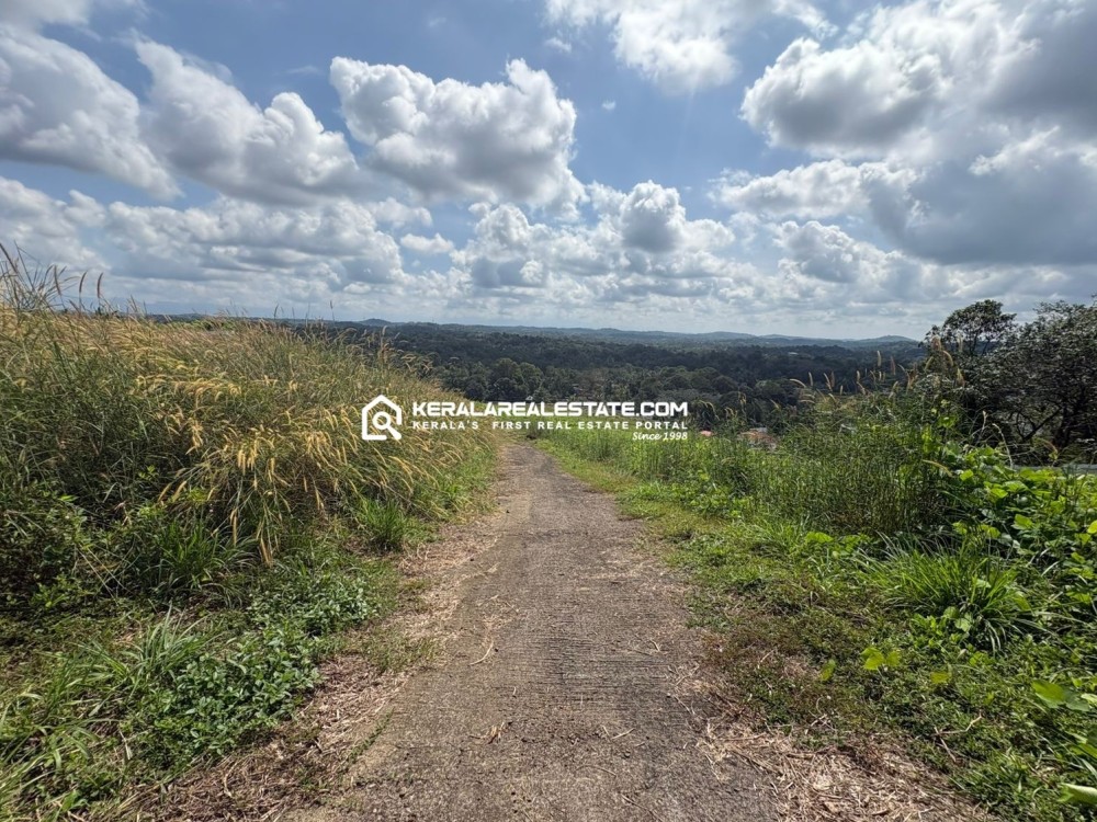 Prime Land for Sale in Thiruvanchoor, Kottayam