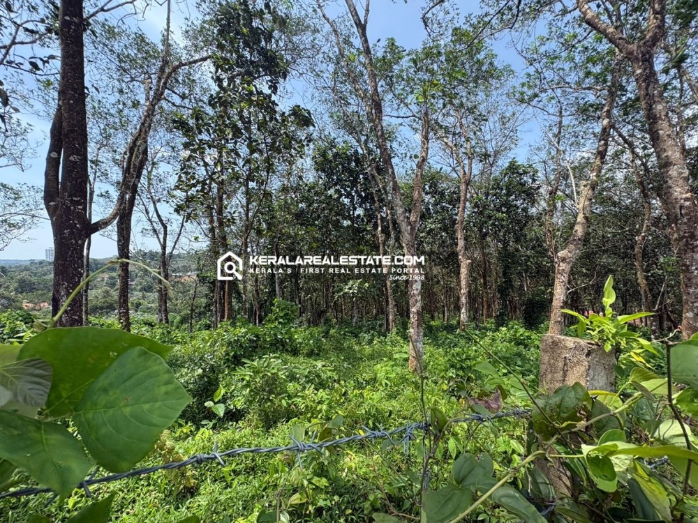 Land for Sale in Puthuppally, Kottayam