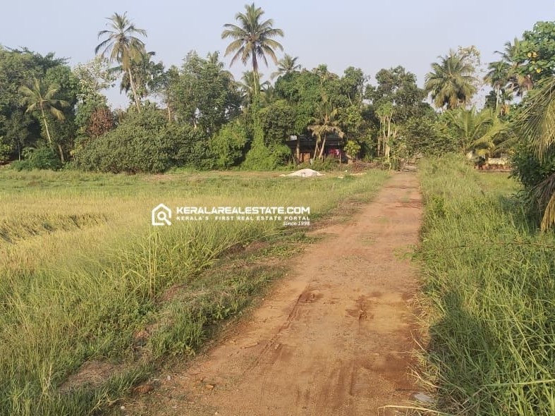 Land for Sale in Nedumudy, Alappuzha