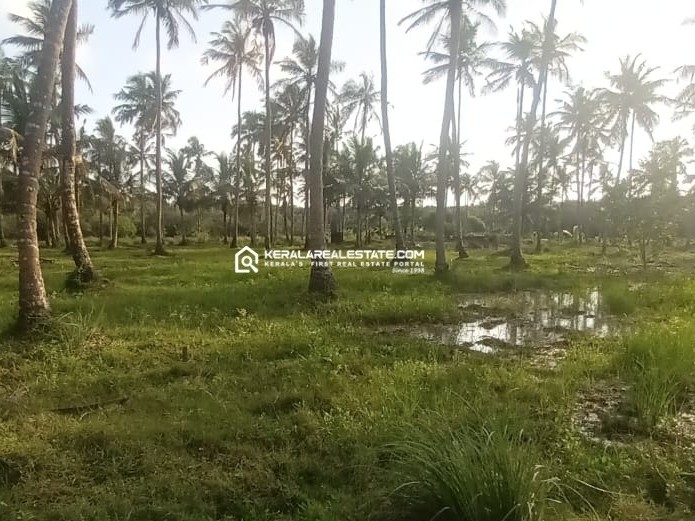 Land for Sale in Ramanattukara, Kozhikode