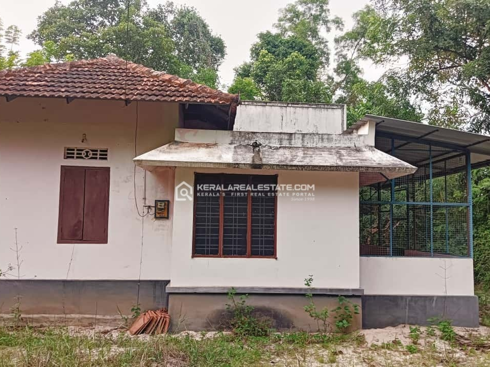 Land with Old House for Sale in  Puthanagadi, Near Kanichukulangara, Alappuzha