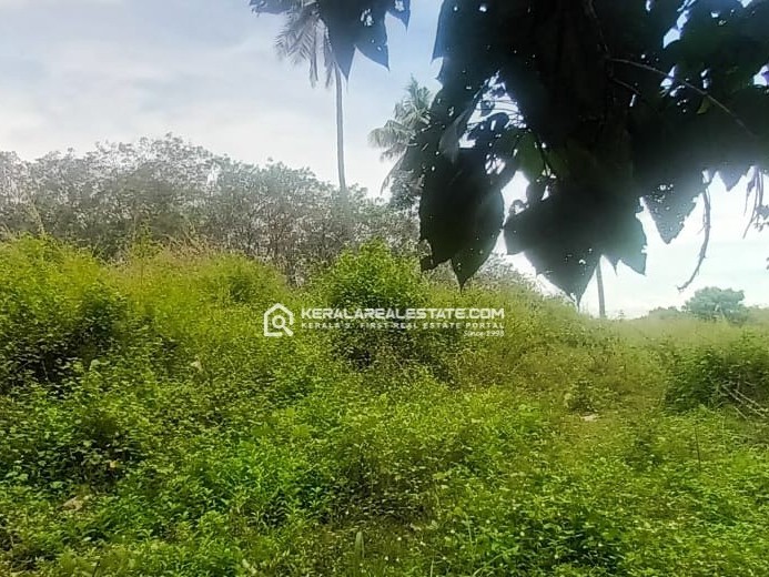 Land for Sale in Arakkunnam, Ernakulam 