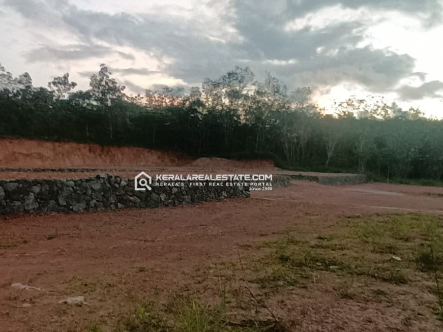 Land for Sale in Arakkunnam, Ernakulam 