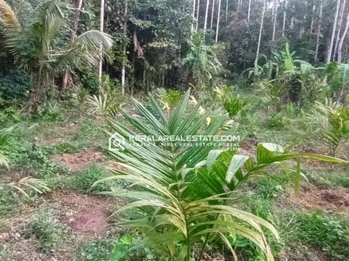 Land for Sale in Arakkunnam, Ernakulam
