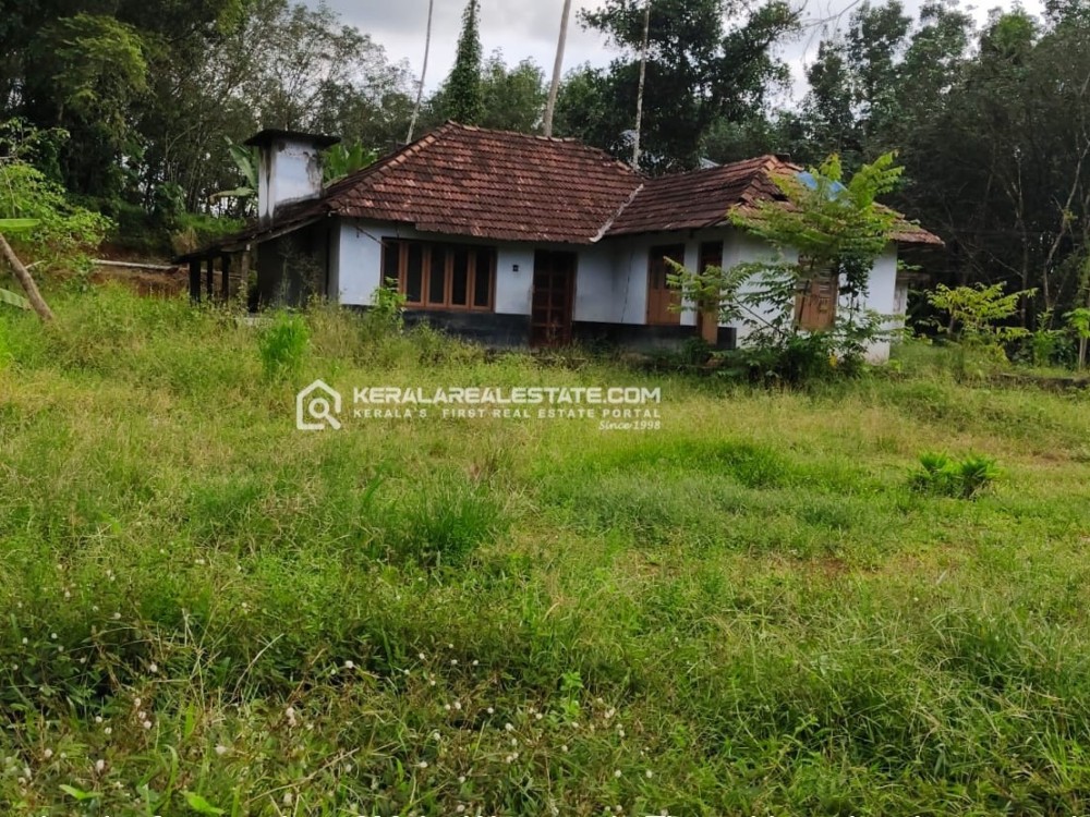 Land with Old House for Sale in Perumbavoor, Ernakulam