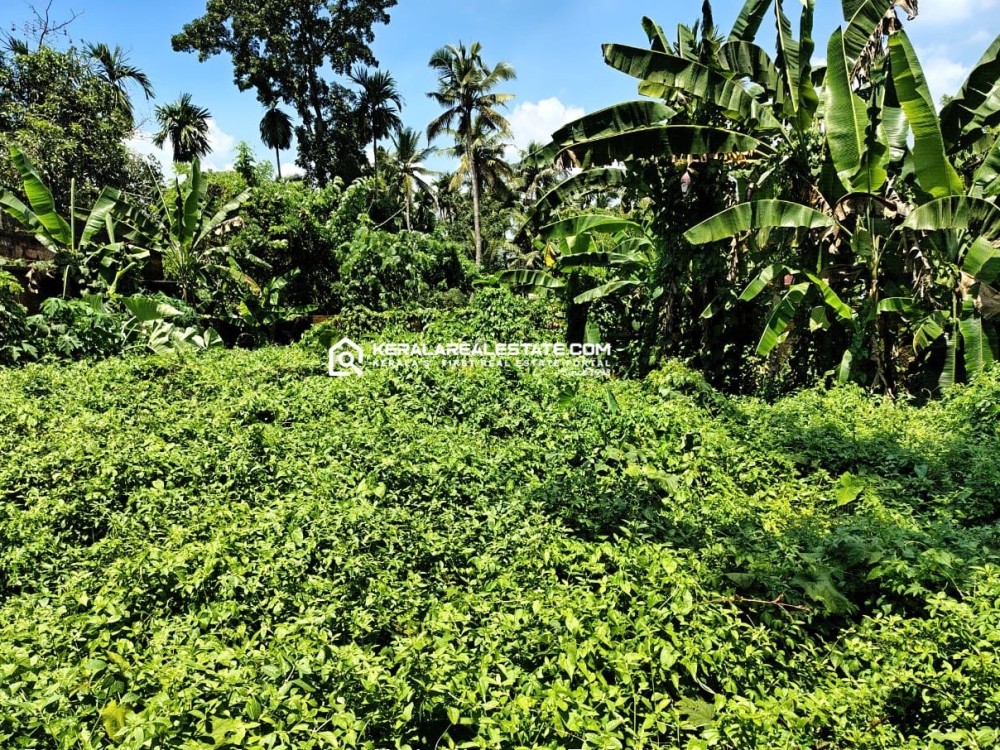 Residential Plot for Sale in Thoppumpady, Ernakulam