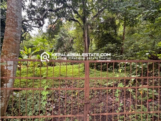 Agricultural Land for Sale in Mannuthy, Thrissur