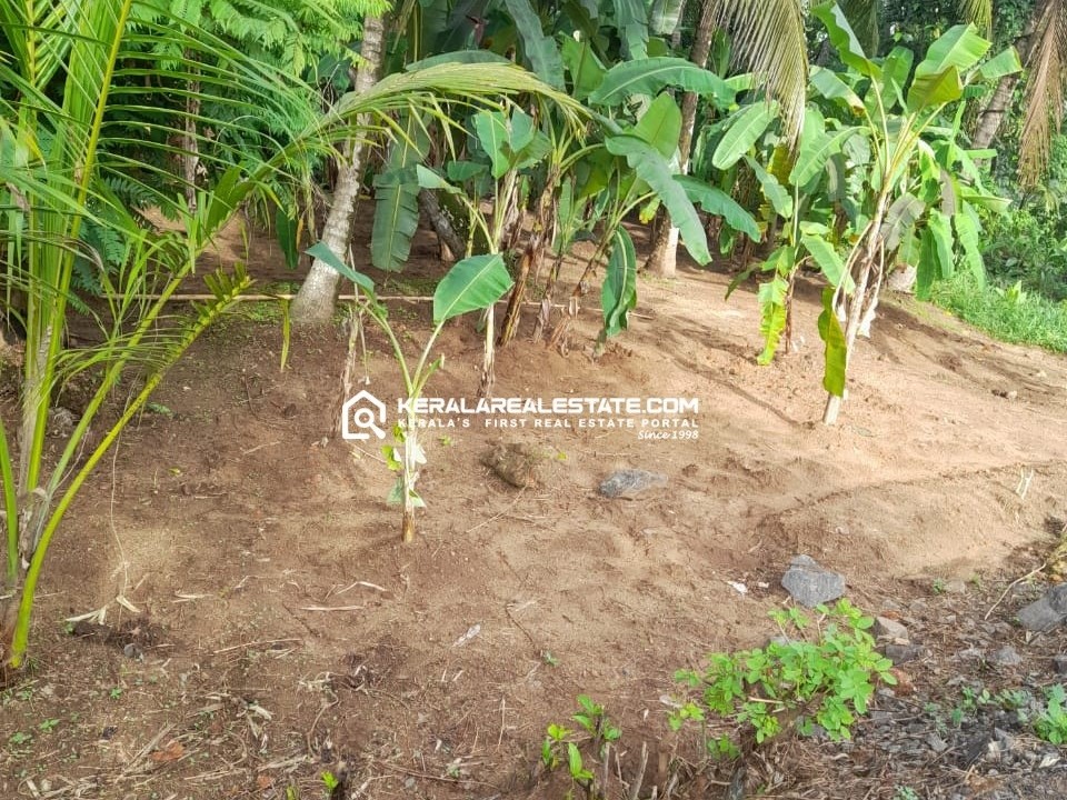 Residential Land for Sale in Aymanam, Kottayam