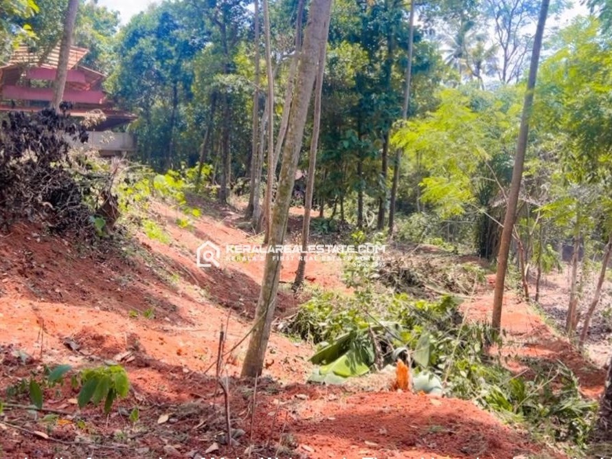 Premium Land for Sale Near Varkala, Trivandrum