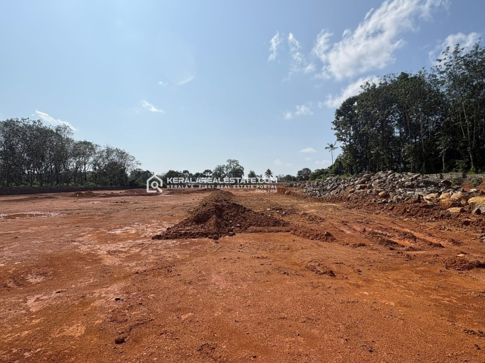 Residential Plots for Sale in Adichira, Kottayam