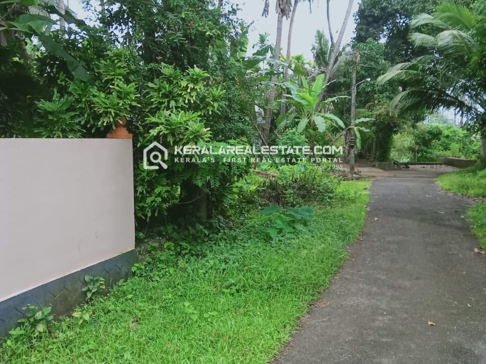 Land for Sale in Arattupuzha, Thrissur