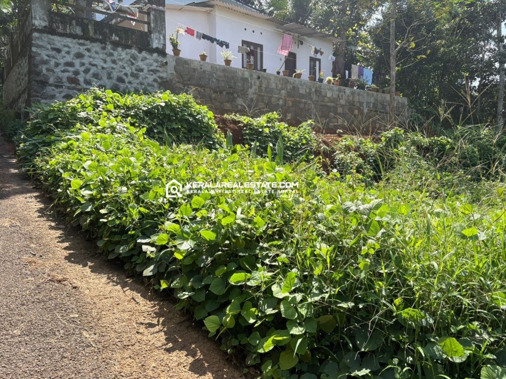 Land for Sale in Ettumanoor, Cheruvandoor, Kottayam 