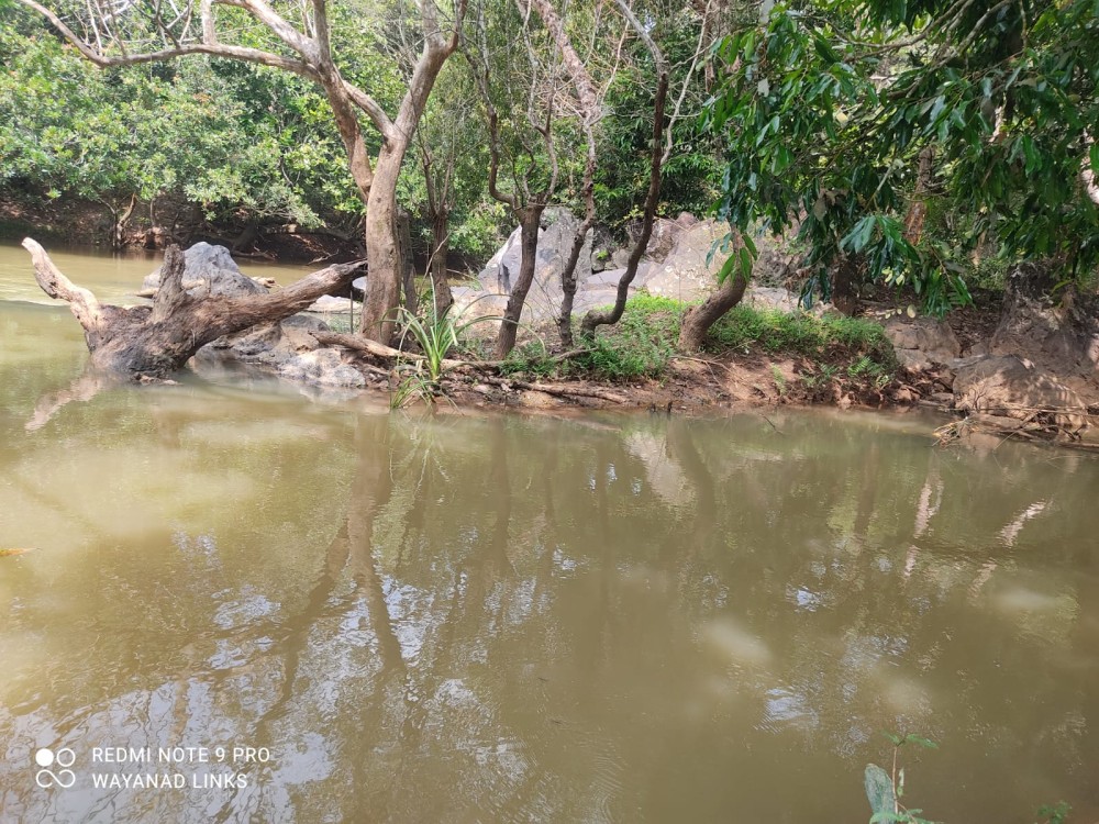 Riverfront Land for Sale in Pakkam, Wayanad