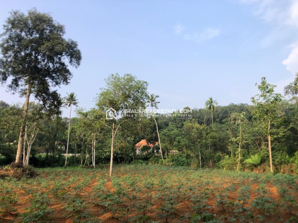 Prime Commercial/ Residential Land for Sale in Uazhavoor, Kottayam 