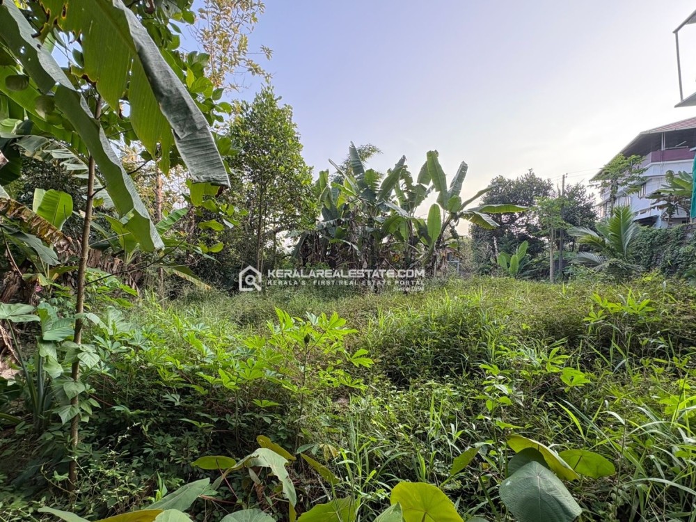 Land for Sale in Kottayam 