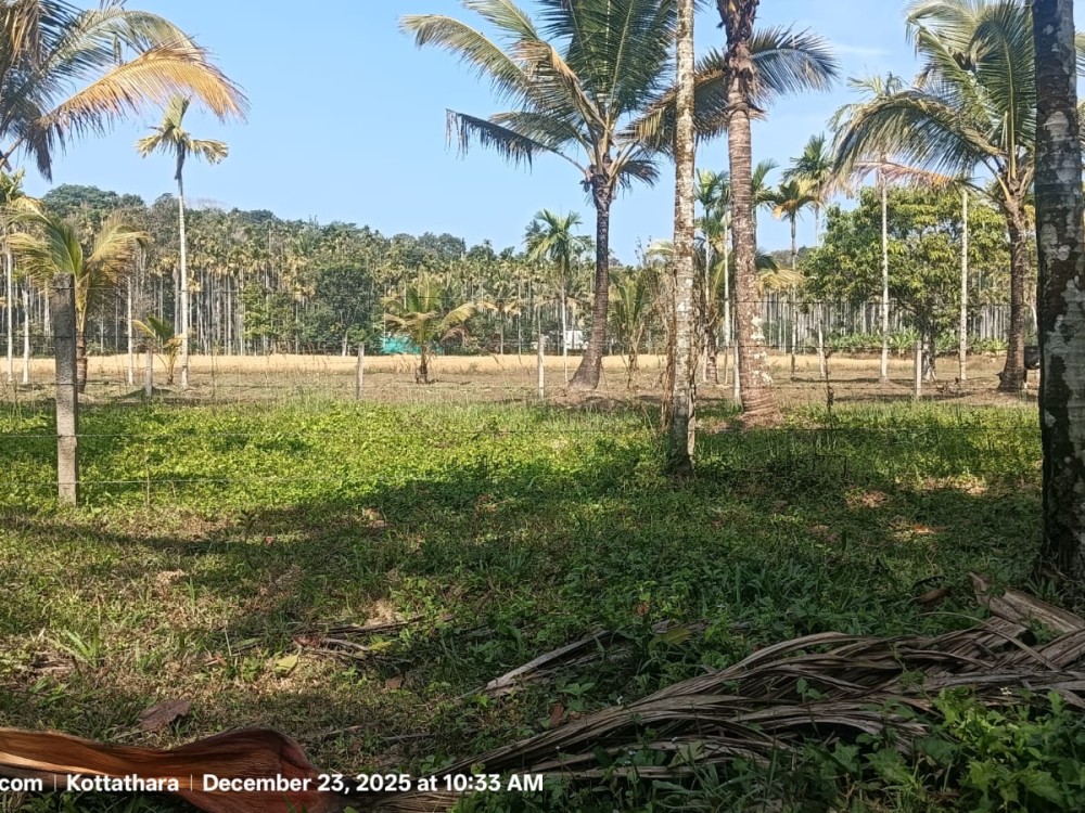 Scenic Plot for Sale in Koodothummal, Wayanad