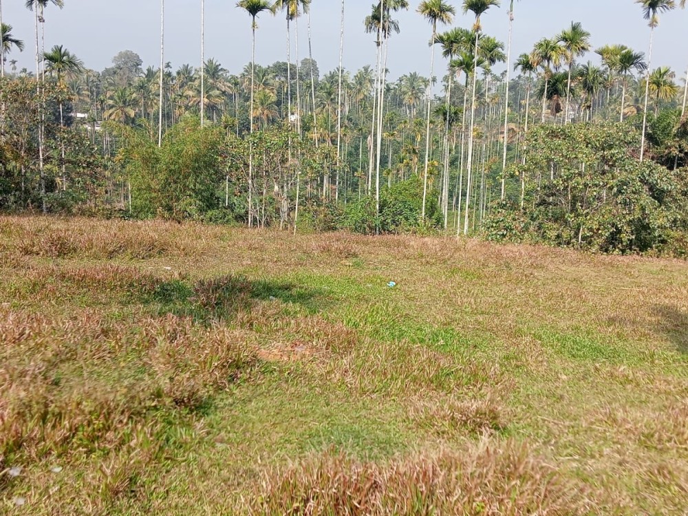 Land for Sale in Meenangadi, Wayanad 