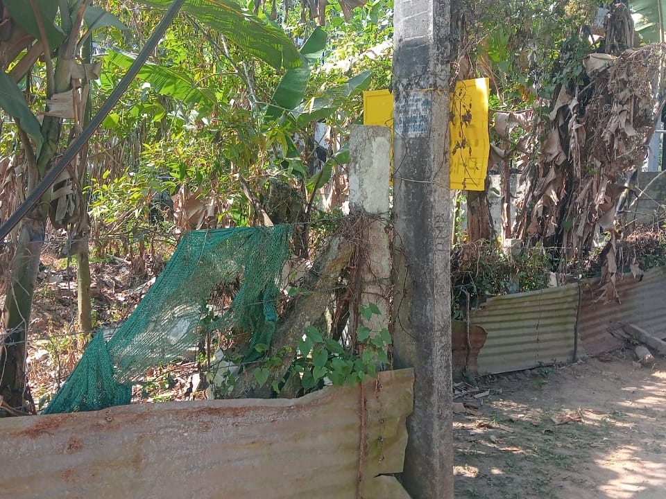 Prime Plot for Sale Near Kalpetta Bypass, Wayanad 