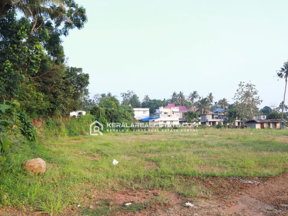 Prime Land for Sale in Puthukkad, Thrissur