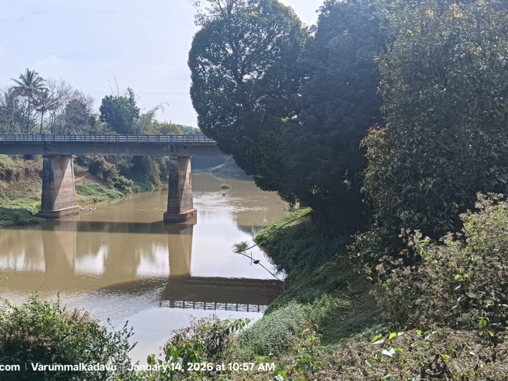 River View Property for Sale in Varummalkadavu, Panamaram, Wayanad