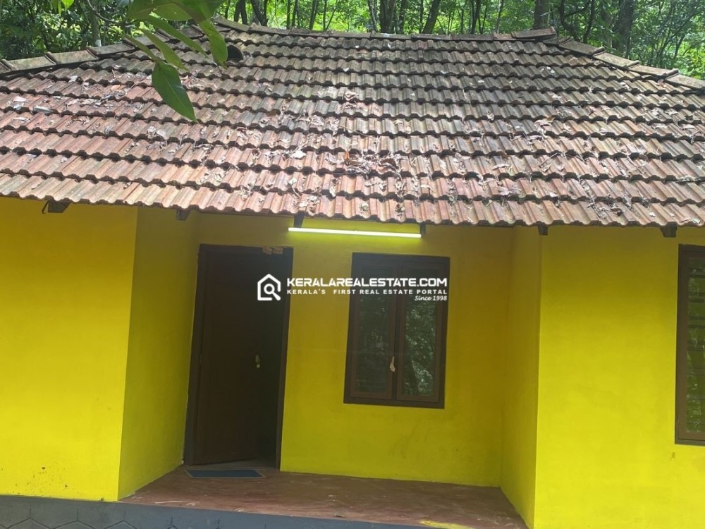 Land for Sale in Inchimala, Thodupuzha, Idukki 
