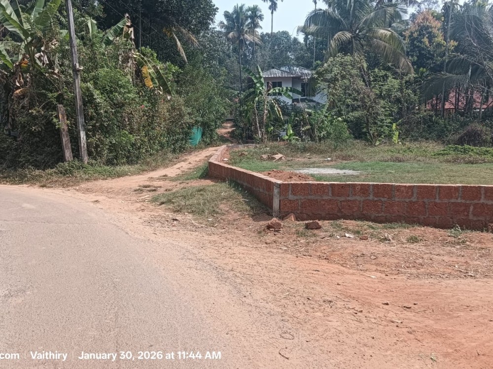 Prime Land for Sale in Padinjarathara, Wayanad