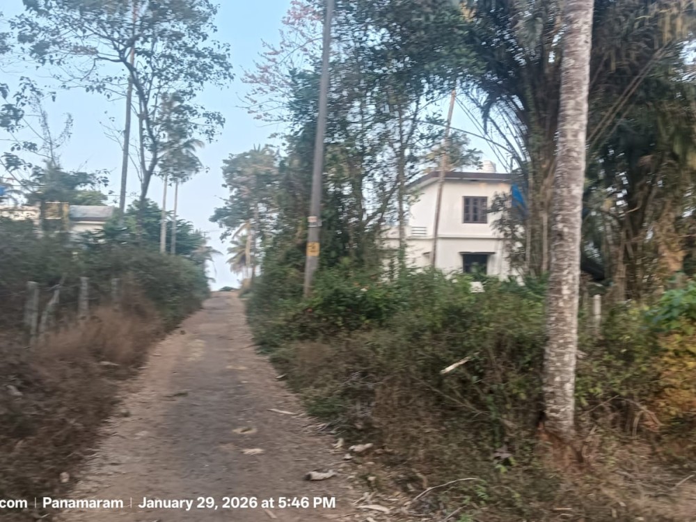 Prime Land for Sale in Panamaram Wayanad