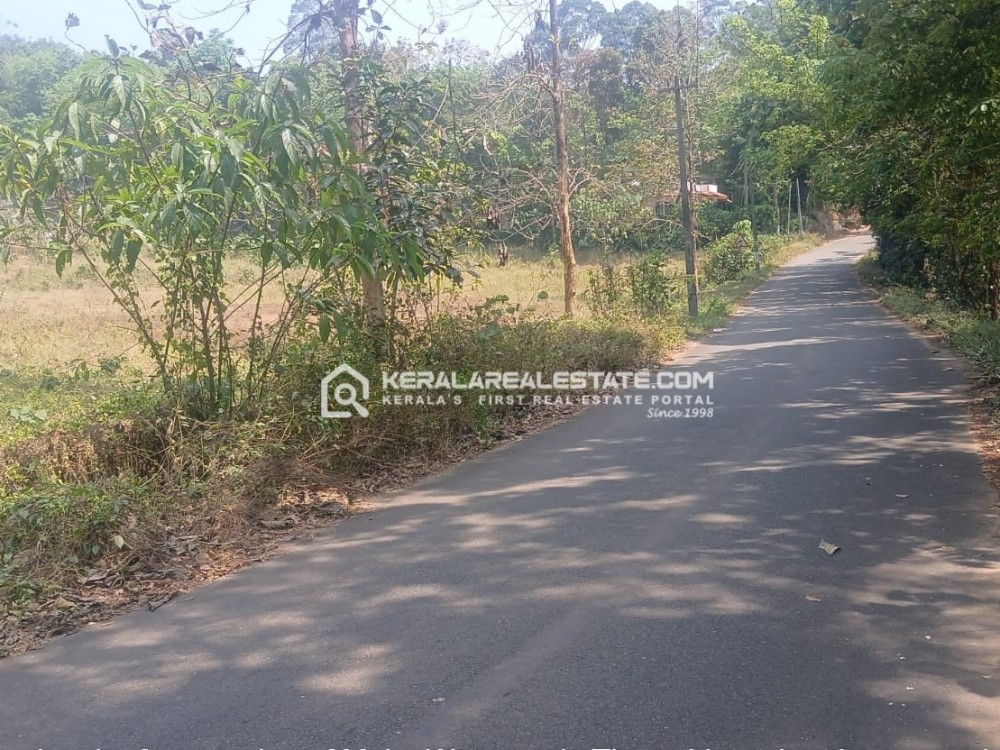 LAND FOR SALE IN KUNNAKKAL, NEAR NELLAD, MUVATTUPUZHA, ERNAKULAM