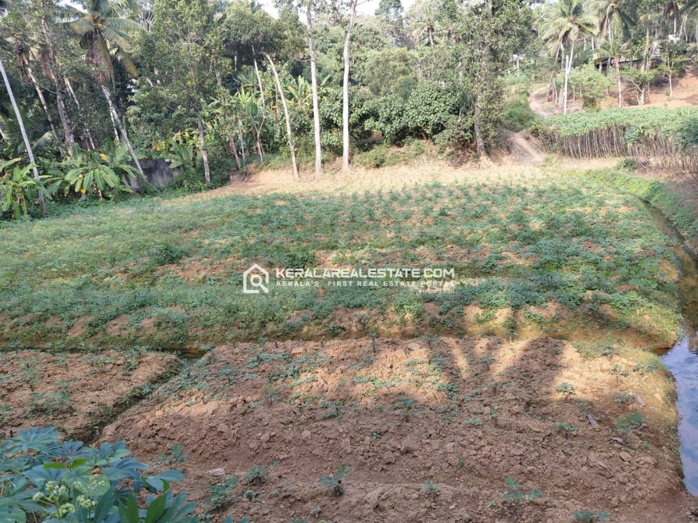 30 Cents of Agricultural/ Fertile Land for Sale in Peringamala, Vizhinjam, Trivandrum 