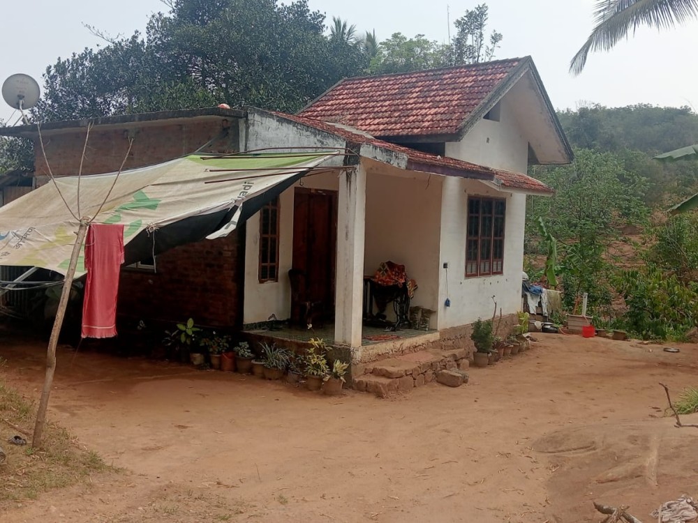 2 BHK House for Sale in Krishnagiri, Meenangadi, Wayanad 