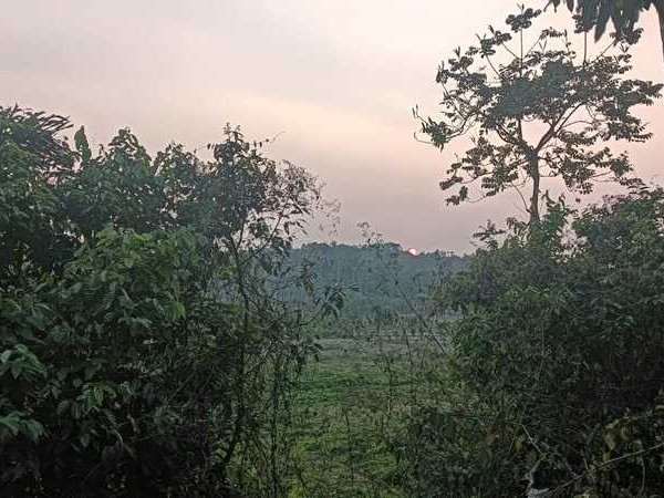 Land for Sale in Kammana, Koyileri Wayanad