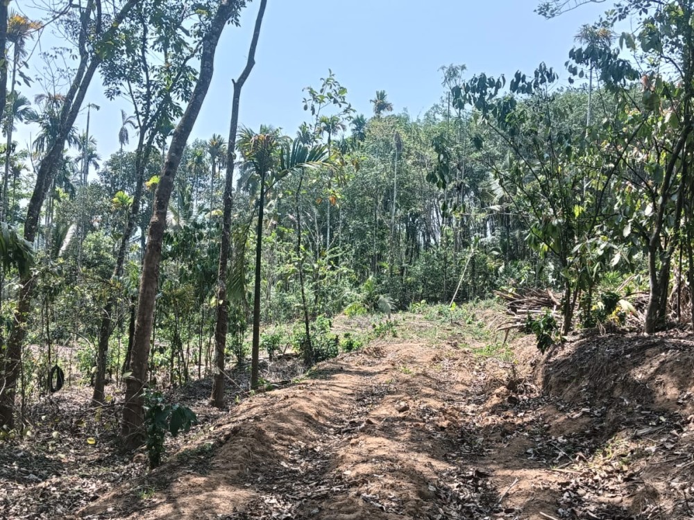 1.30 Acre Land for Resort / Holiday Home Near Kambalakkad, Wayanad