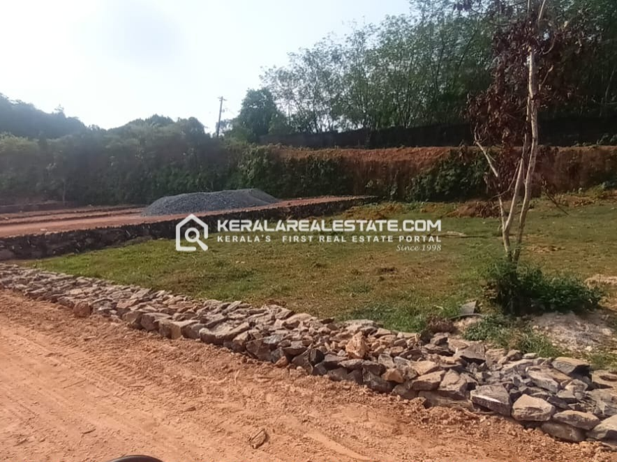 Prime Plot for Sale in Puthenkurishu, Ernakulam 