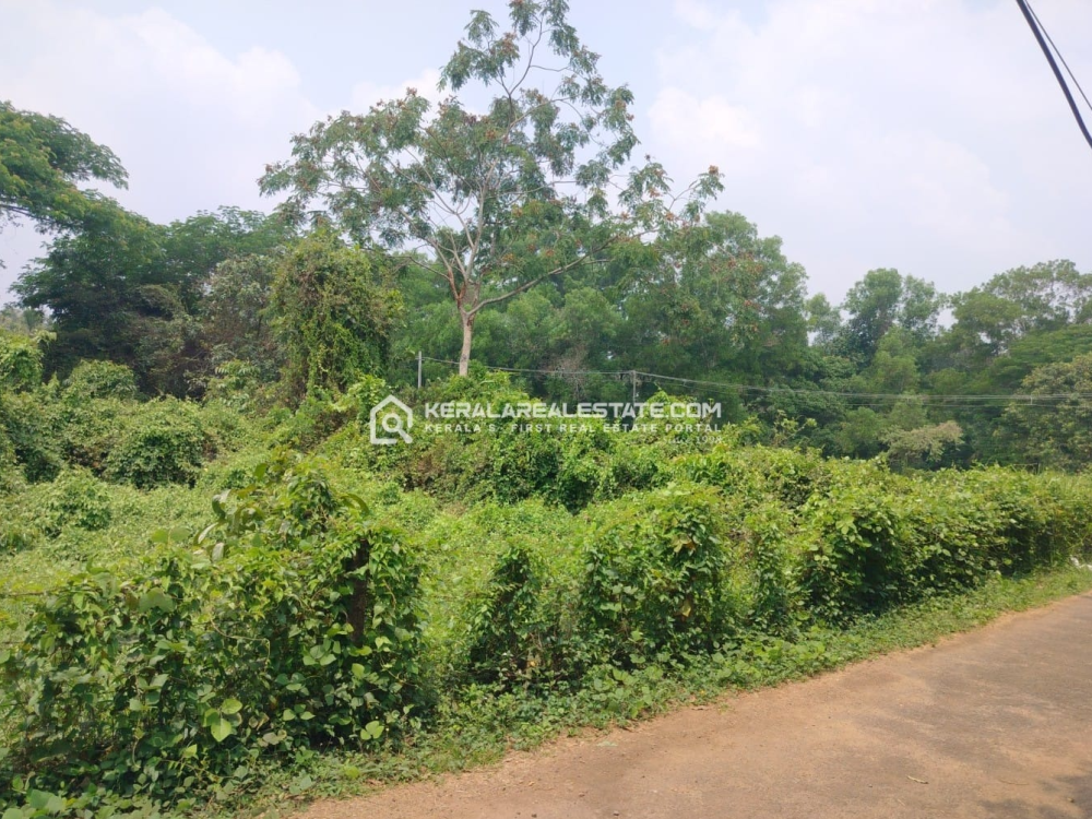 Land for Sale Near UC College, Aluva, Ernakulam 