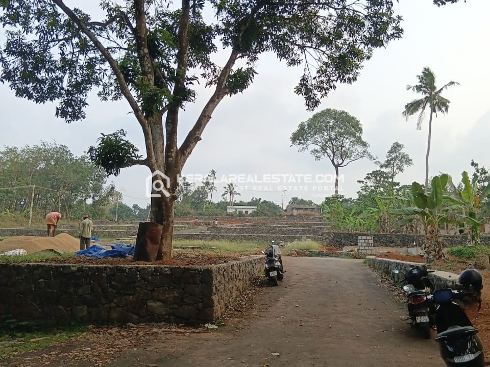Premium House Plots for Sale in Chottanikkara, Ernakulam 